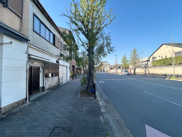 東側道路を北方向に望む