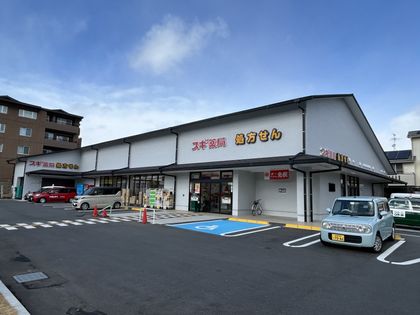 スギ薬局宝ヶ池店（約700ｍ）
