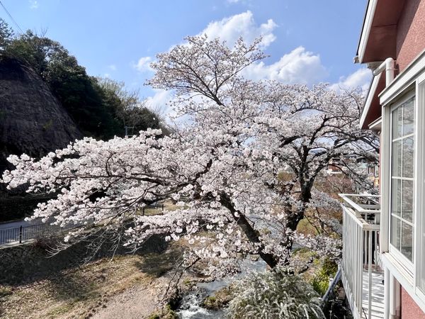 左京区上高野石田町 眺望 左京区上高野石田町 眺望