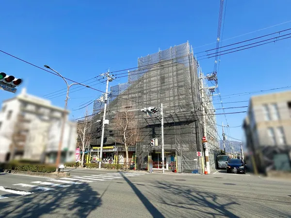 2026年2月21日撮影