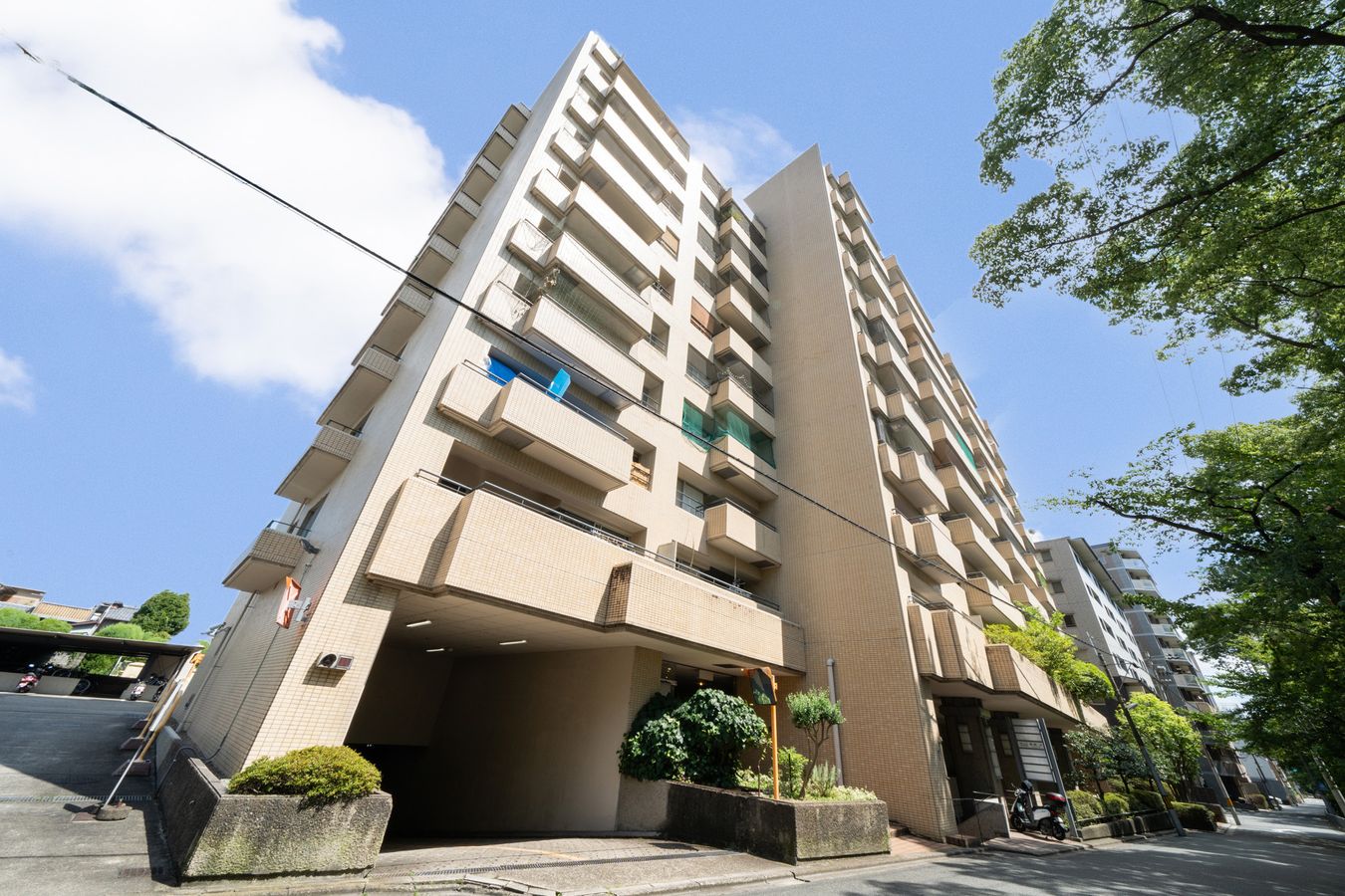 外観