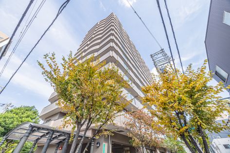 ベルシャトウ阿倍野阪南町 外観