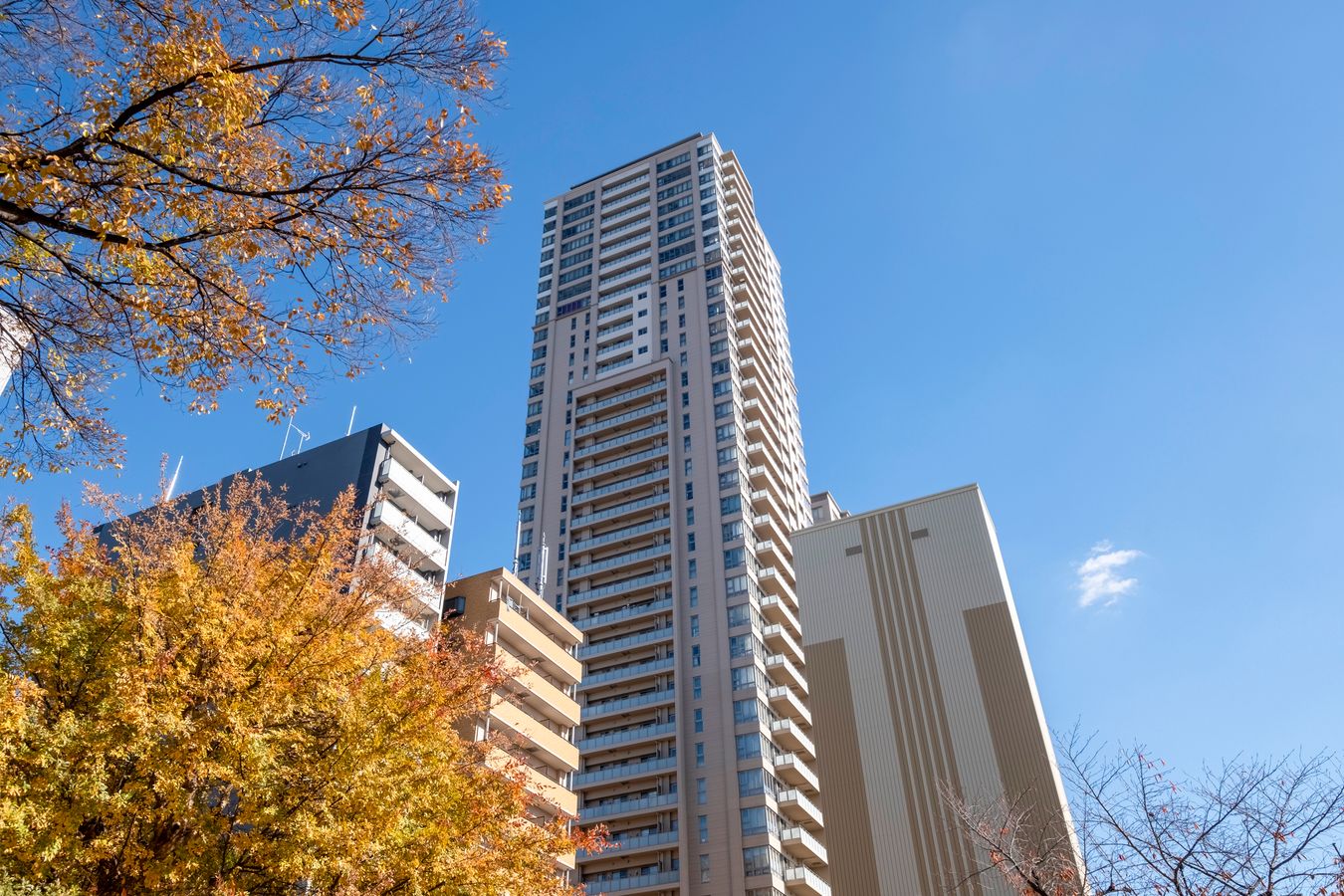 グランドメゾン上町台ザ・タワー 外観 外観