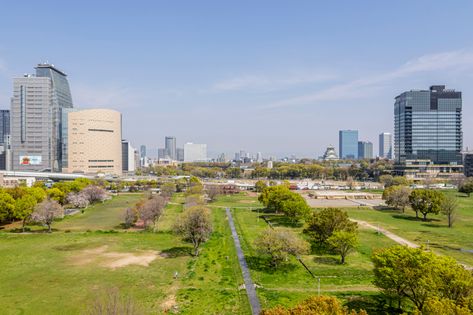シエリア大阪上町台パークタワー 眺望