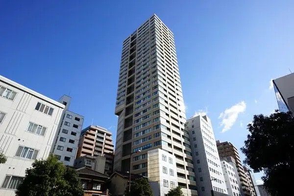 マストタワー安堂寺 外観 マストタワー安堂寺 外観