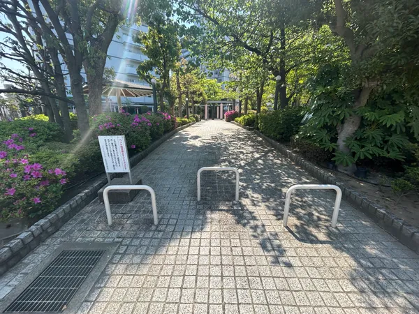 マンションの周りは植栽がいっぱいで、毎日自然を感じられます。