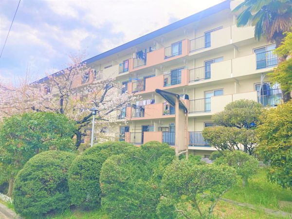 公社 A8棟 外観 公社 A8棟 外観