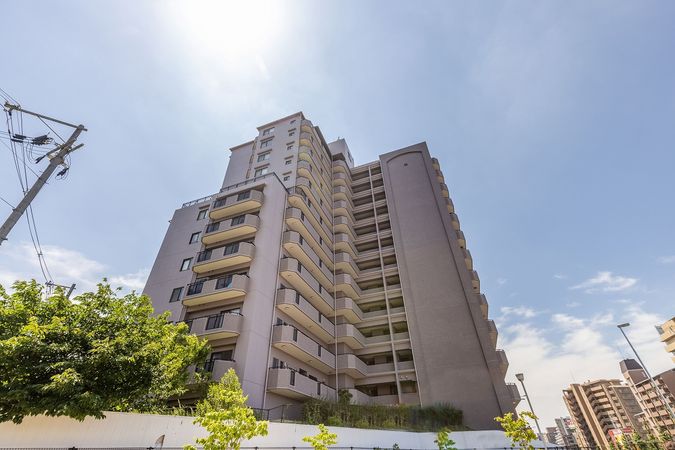 パインフィールド緑地公園 外観