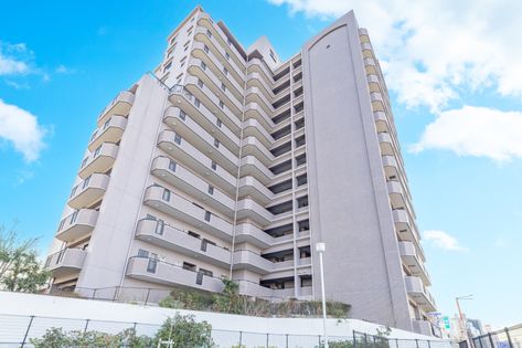 パインフィールド緑地公園 外観