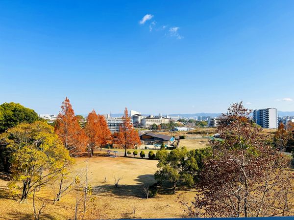 ザ・パークハウス南千里アリーナ 眺望 眺望