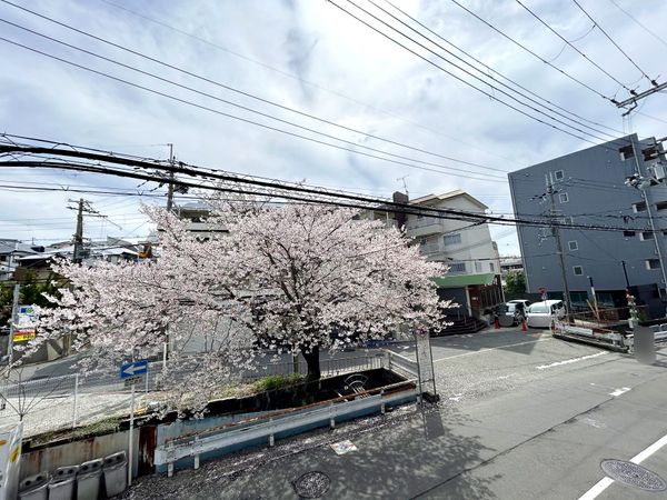 セントラル千里山東 眺望