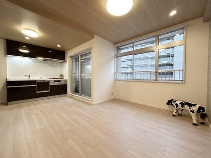 中津リバーサイドコーポ C棟 リビング