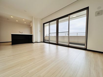 リバーガーデンかしま リビング