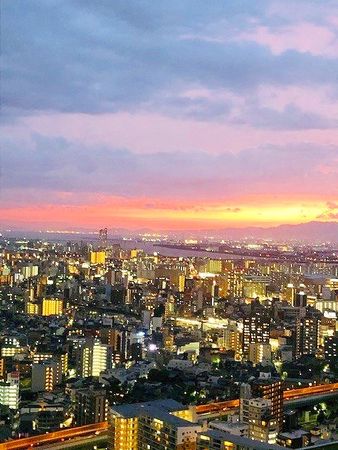 ザ・パークハウス中之島タワー 眺望