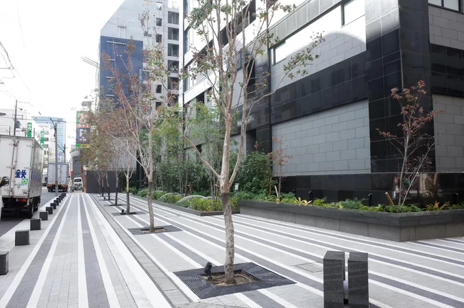 建物前の歩道は広く整備され、植栽や街路樹が並び、開放的な印象です。