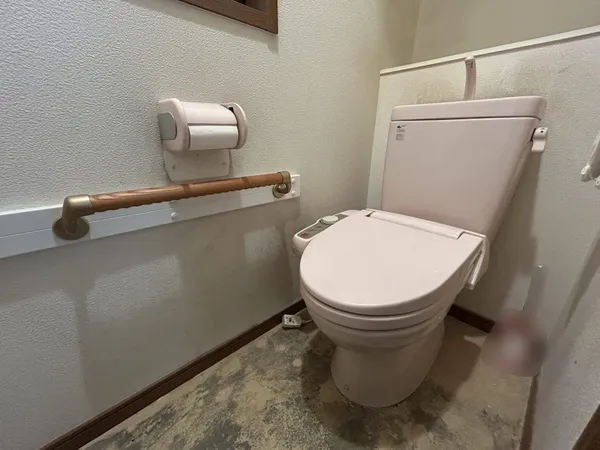 トイレです。手すりが設置してあります。※写真中の家具・家電は売買価格に含まれません。