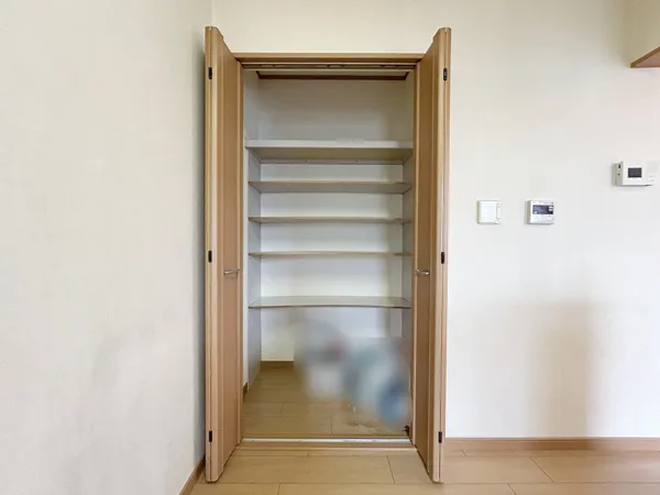 【リビング収納】リビングにある収納スペースです。キッチンに近い位置にあり、日用品や食品の収納スペースとして活用できそうです。※写真中の家具・家電は売買価格に含まれません。