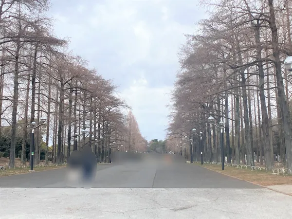 徒歩13分