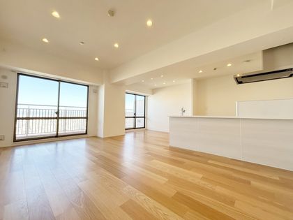 リバーカントリーガーデン京橋 リビング リバーカントリーガーデン京橋 リビング