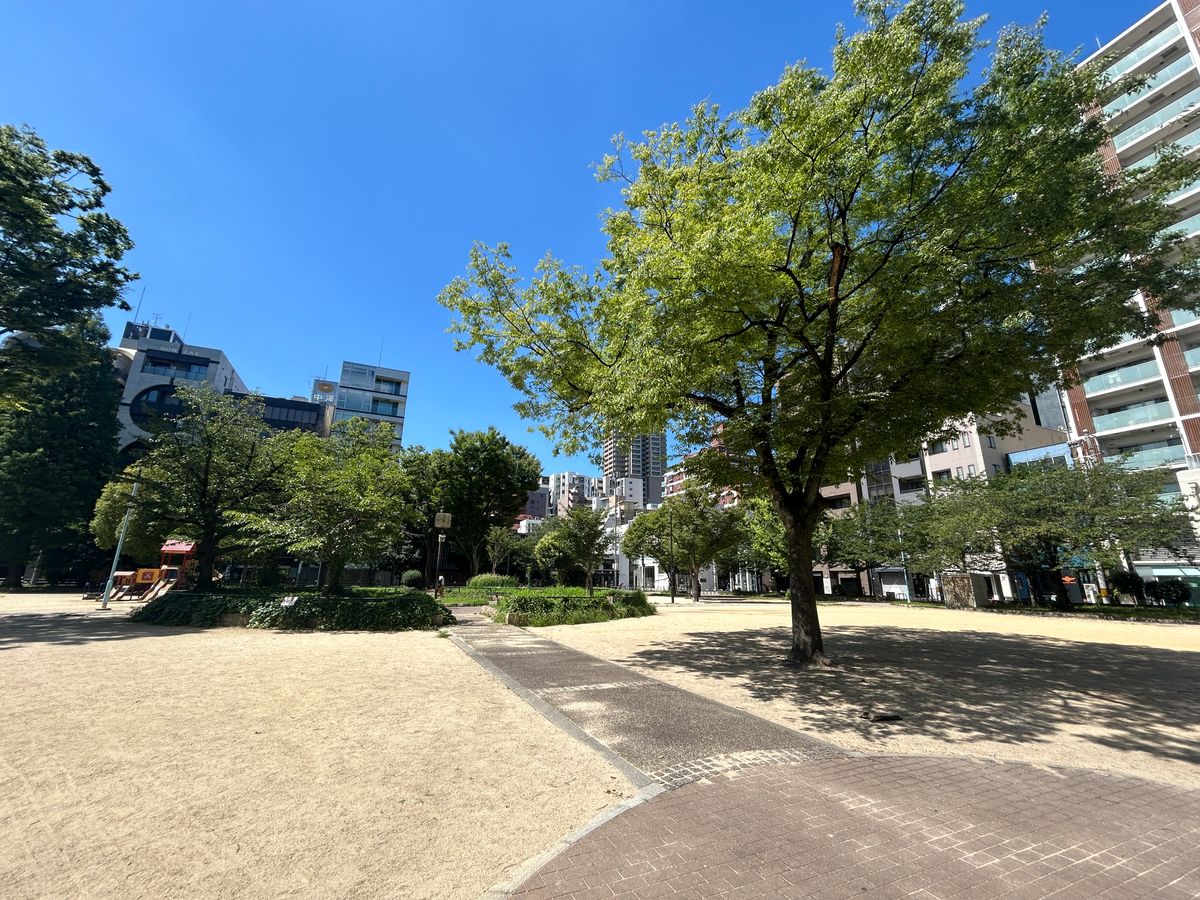 堀江公園（約20ｍ）