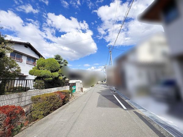 安堂寺町2丁目 土地 前面道路含む外観