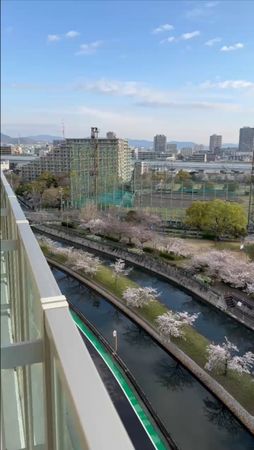 プラウド西宮浜松原 眺望