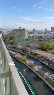 プラウド西宮浜松原 眺望