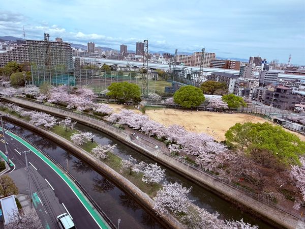 プラウド西宮浜松原 眺望