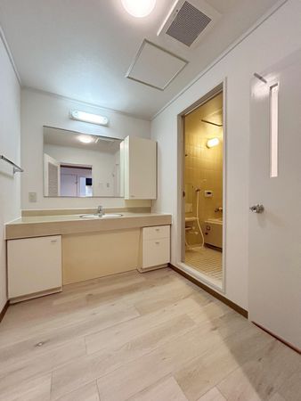 白鷹甲子園マンション 洗面 白鷹甲子園マンション 洗面