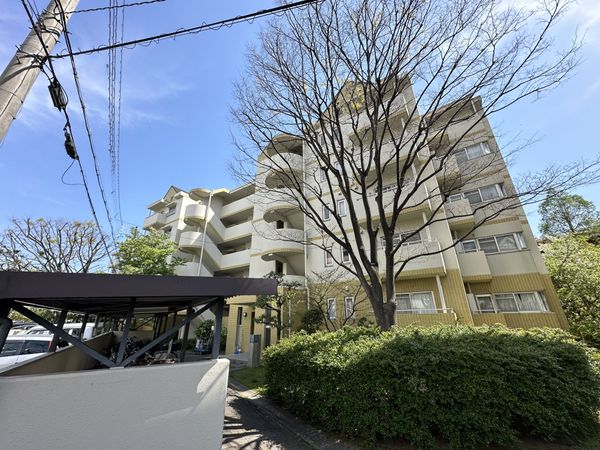 2号棟 6TM82B タイプ | HARUMI FLAG SKY DUO | 湾岸マンション価格ナビ