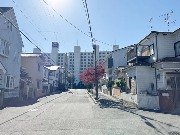 前面道路（東側）