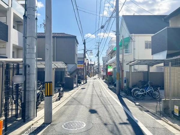 前面道路（南を望む）
