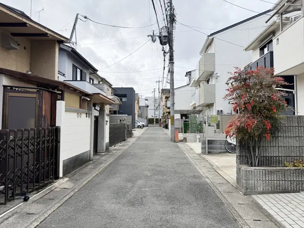 前面道路（西側を望む）