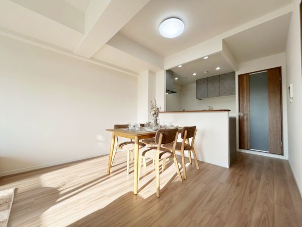 セザール吹田 リビング リビング