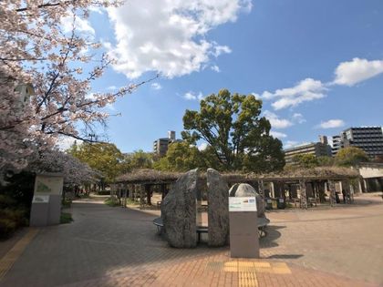 セレッソコート江坂 江坂公園(約400m) 江坂公園(約400m)