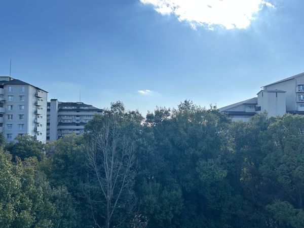 メゾン千里丘 E棟 眺望