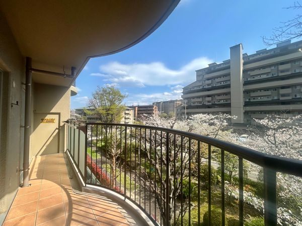 メゾン千里丘 バルコニー