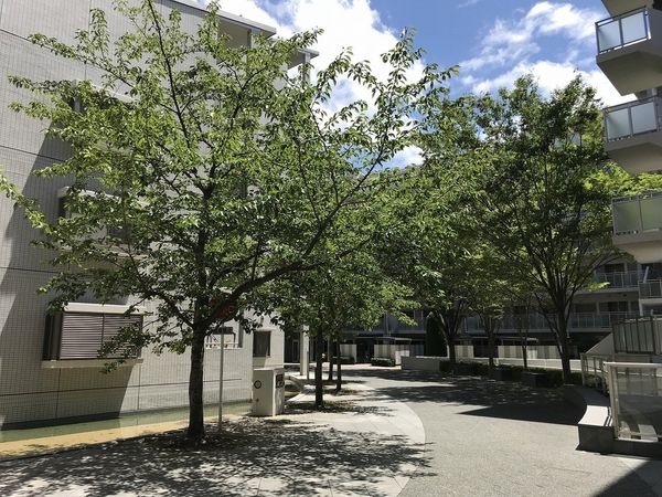 ルネシーズンズ千里の丘 1番館 その他現地 ルネシーズンズ千里の丘 1番館 その他現地