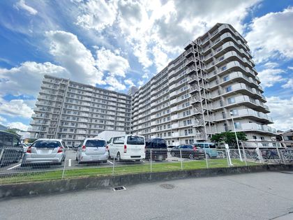 八尾志紀スカイハイツ 外観