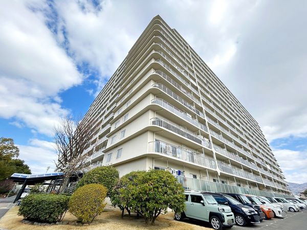 八戸ノ里ニュースカイハイツ 外観