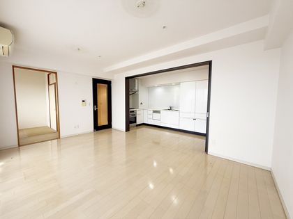 レジデンスタワー上本町 リビング