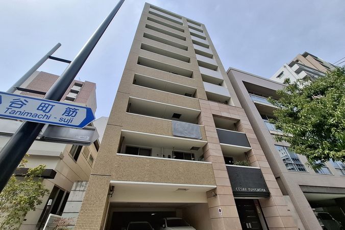 セザール夕陽丘 外観 セザール夕陽丘 外観