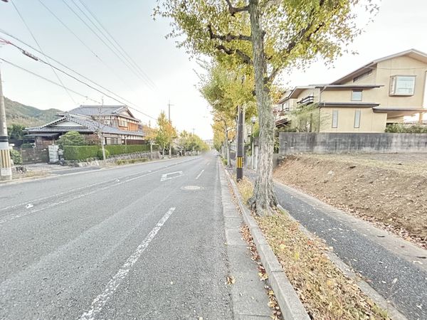 前面道路含む外観