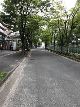 その他現地
