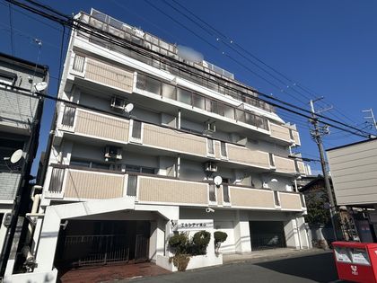 エルシティ桃山 外観