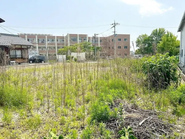 敷地内の様子（北西→南東）