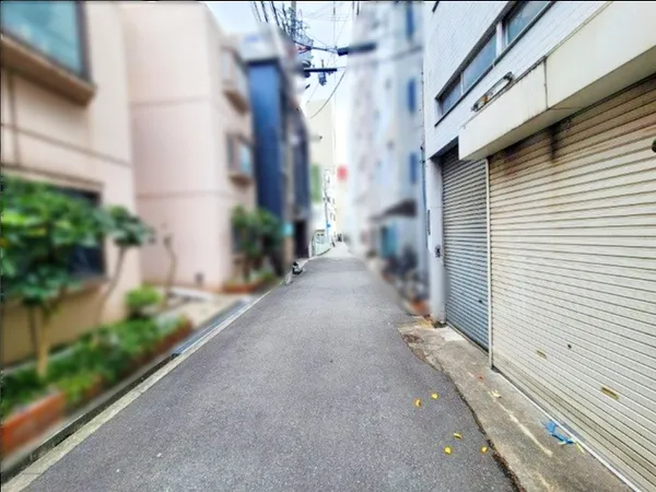 北東側道路　幅員約2.5～4.0ｍ（南向き）