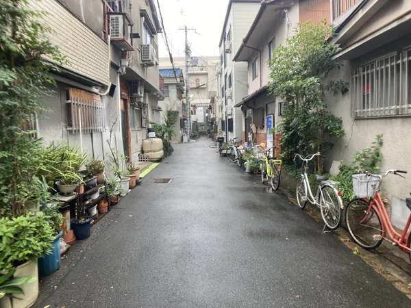 西側前面道路（本物件南側約30ｍの地点から撮影）