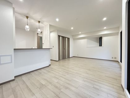 ルイシャトレ本町西 リビング