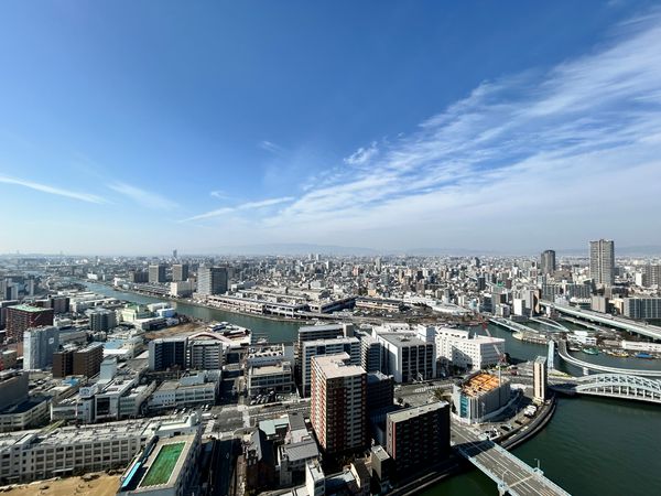 阿波座ライズタワーズフラッグ46 眺望